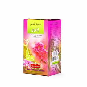دمنوش گیاهی لاغری شاهسوند بسته 20 عددی