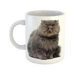 ماگ طرح گربه مدل پرشین کت کد 02 persian cat