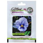 بذر گل بنفشه گل درشت آبی فسفری گلبرگ پامچال کد GPF-237