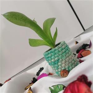 گلدان مدل آناناسی