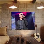 تابلو شاسی مدل pitbull کد 13