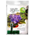 خاک بنفشه آفریقایی گیلدا مدل GV2L حجم 2 لیتر