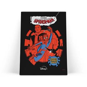 تابلو شاسی مدل spider man کد 3