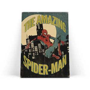 تابلو شاسی مدل spider man کد 7