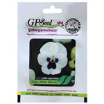 بذر گل بنفشه سفید خالدار گلبرگ پامچال کد GPF-236