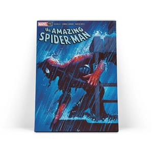 تابلو شاسی مدل spider man کد 26