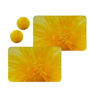 زیربشقابی طرح گل کد 8327 مجموعه 2 عددی به همراه زیر لیوانی