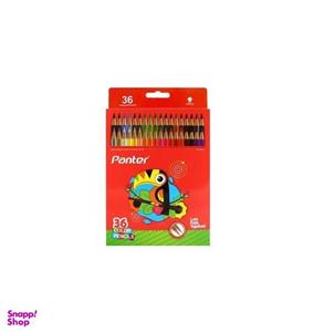 مداد رنگی 36 رنگ پنتر مدل PCP 103-36