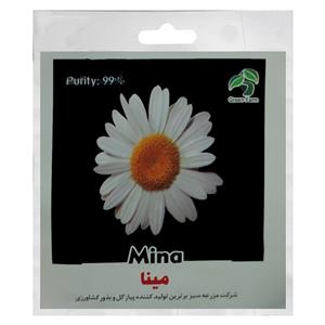 بذر گل مینا گرین فارم کد GR-M22