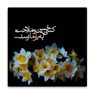 کاشی عصر بوژان مدل صاحب الزمان کد B585