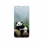 برچسب پوششی ماهوت مدل Panda مناسب برای گوشی موبایل اپل iPhone 6 Plus