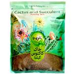 Gilda GC01L Cactus and Succulent Potting Mix 1 Liter