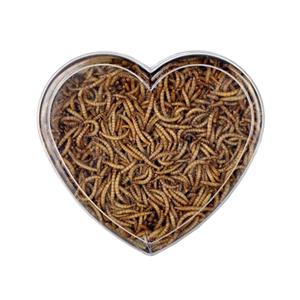 غذای خشک پرندگان مدل میلورم کد kh60galb وزن 60 گرم