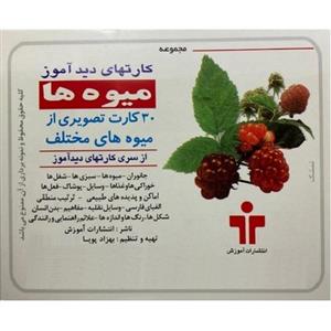 بازی آموزشی دیدآموز  طرح میوه ها