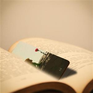 نشانگر کتاب لوکسینو مدل شازده کوچولو کد Bookland_75