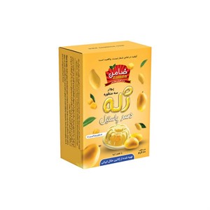 پودر ژله و دسر انبه ضامن - 100 گرم