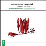 آلبوم موسیقی شوق مستور اثر شهاب الدین آذین مهر