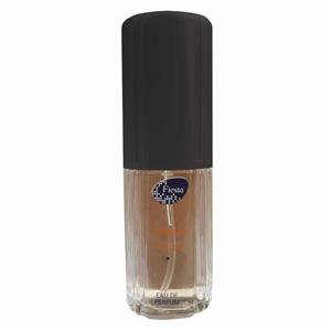 عطر جیبی مردانه فیستا مدل Givenchy Amarige حجم ۱۵ میلی لیتر
