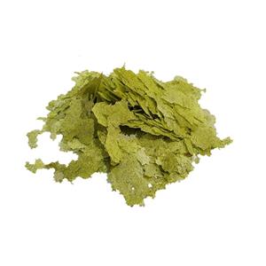 غذای ماهی پولکی اسپرولینا  مدل  گلدن  وزن ۱۰۰ گرم