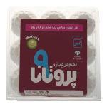 تخم مرغ تازه پروتانا بسته 9 عددی Protana Fresh Egg Pack Of 