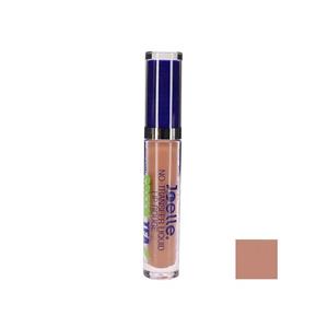 رژ لب مایع جویل شماره JR287