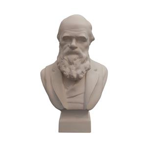 تندیس مدل چارلز داروین