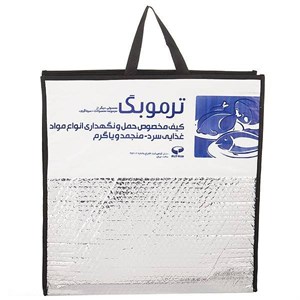 کیف خنک نگهدارنده سرماگرم مدل ترموبگ