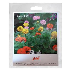 بذر گل آهار گرین فارم کد GH25