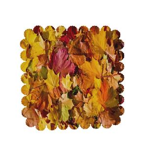 رومیزی طرح برگ پاییزی کد 5503B