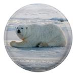 مگنت طرح خرس قطبی مدل S1994