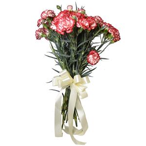 شاخه گل میخک مینیاتوری دسته 9 عددی