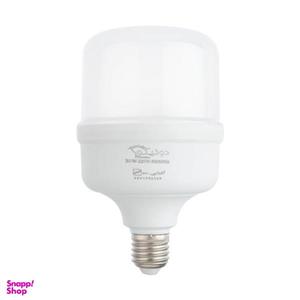 لامپ اس ام دی 30 وات دونیکو مدل XA-003 پایه E27