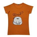 تی شرت زنانه مدل polar_620120 رنگ نارنجی
