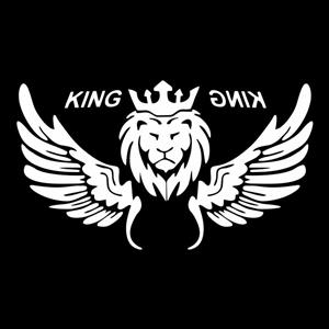 برچسب بدنه خودرو ماتریسیو طرح بال شیر king کد M82