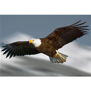 تابلو شاسی طرح عقاب مدل T2028