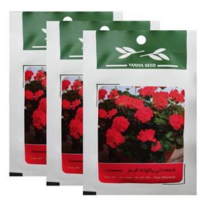 بذر گل شمعدانی قرمز وانیا سید کد N77 مجموعه 3 عددی 