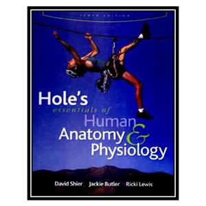 کتاب Holes Essentials of Human Anatomy  Physiology , Tenth Edition اثر جمعی از نویسندگان انتشارات مؤلفین طلایی