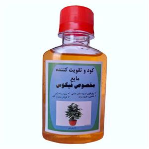 کود مایع کامل و تقویت کننده گل فیکوس مدل BRG11 حجم 120 میلی لیتر