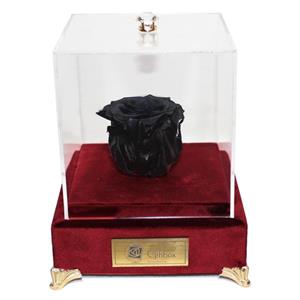 جعبه تک گل ماندگار گیتی باکس مدل رز جاودان مشکی لاکچری آکاژو Gitibox Luxury Akajo Black Preserved Rose Singel Flower Box