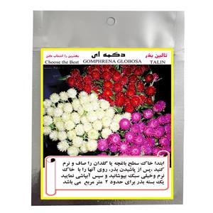 بذر گل دکمه ای تالین بذر مدل BZT-1016