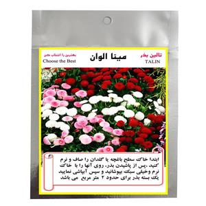 بذر گل مینا الوان تالین بذر مدل BZT-1009
