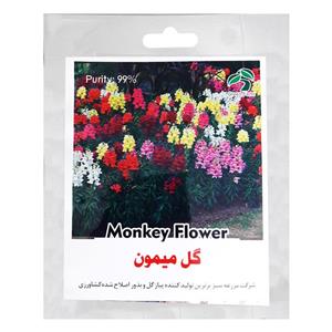 بذر گل میمون گرین فارم کد 33