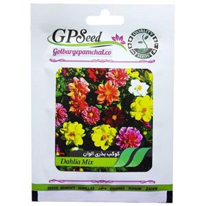 بذر گل کوکب بذری الوان گلبرگ پامچال کد GPF-069