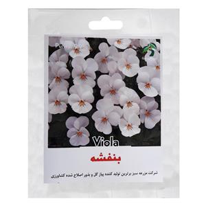 بذر گل بنفشه سفید گرین فارم مدل 01