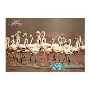 کارت پستال طرح شهر وان ترکیه مدل فلامینگو کد fr43