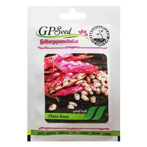 بذر لوبیا چیتی گلبرگ پامچال کد GPF-131