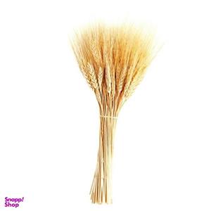 دسته گل خشک مدل خوشه گندم کد 60