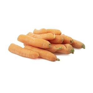 هویج آبگیری Fresh