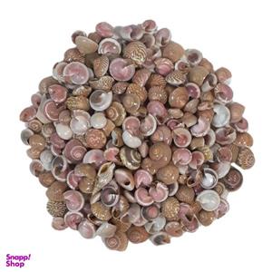 صدف تزیینی مدل HL_320 وزن 80 گرم