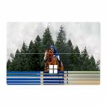 MAHOOT Equestrianism Cover Sticker for Microsoft Surface Pro 4 2015